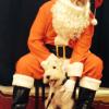 Santa Paws hanging out with Buster Brown, the resident pup at Lynchburg's famous Craddock Terry hotel.